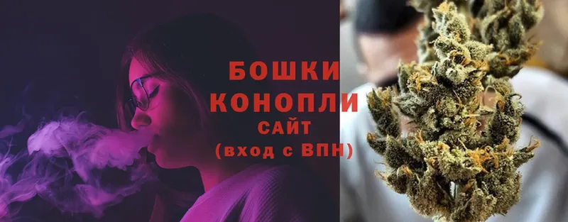 Бошки марихуана THC 21%  цены   Липецк 